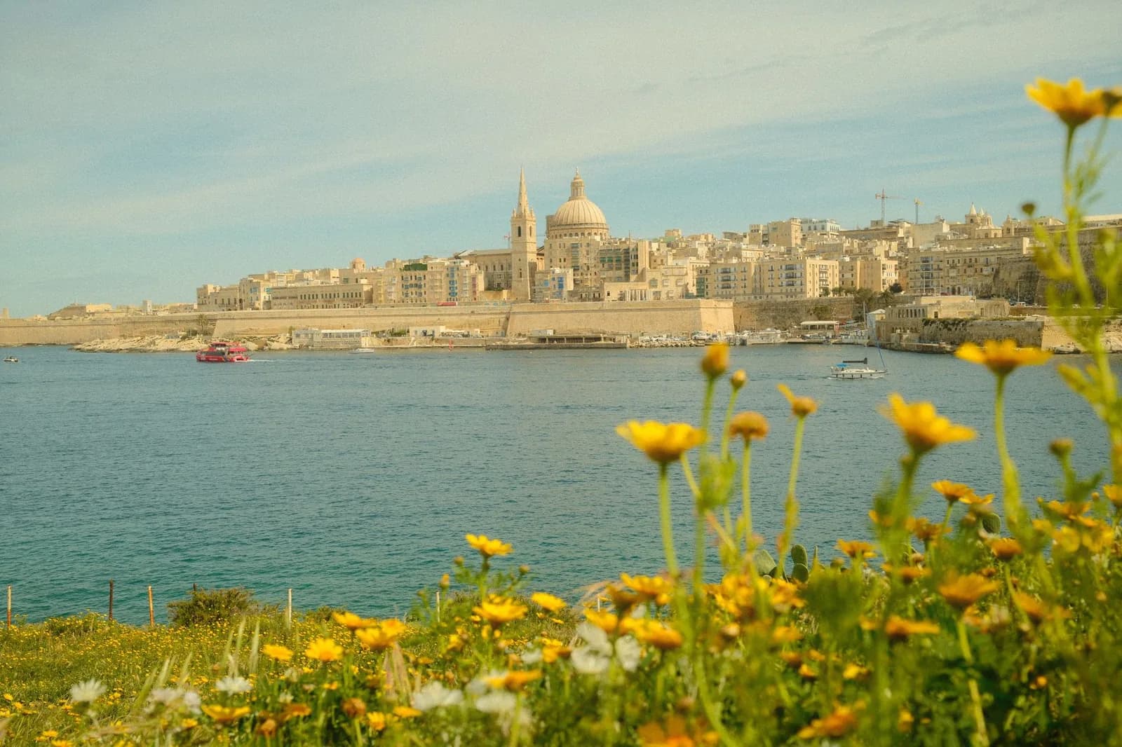 Les remparts de La Valette vus depuis Sliema au printemps, fleurs jaunes au premier plan, à Malte