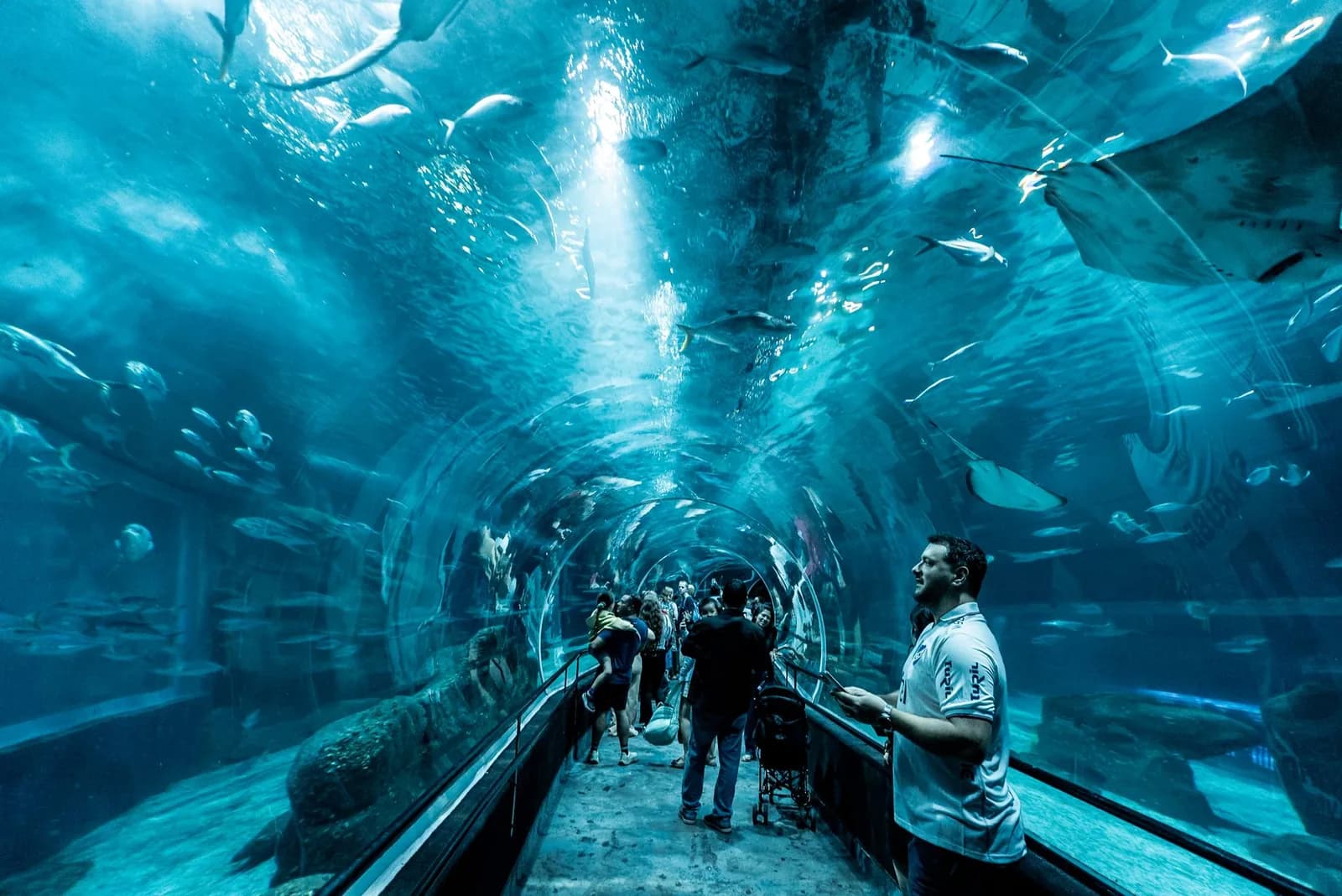 Visiteurs dans un tunnel vitré d'aquarium entouré de poissons