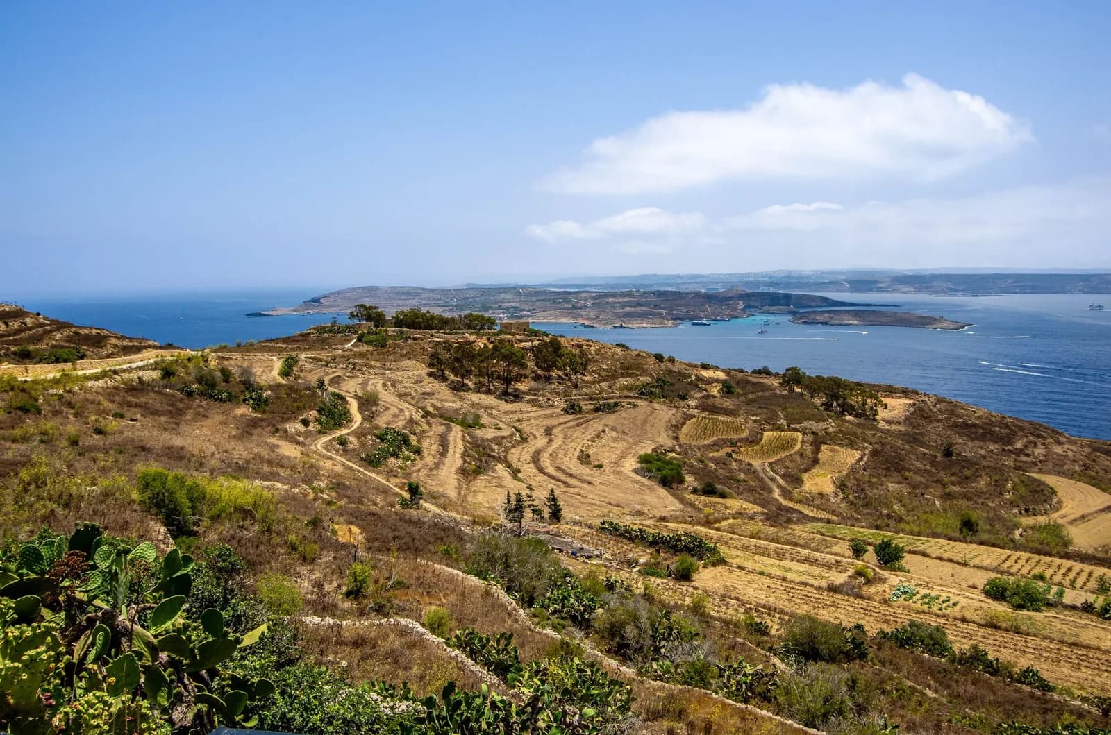 Campagne en terrasses de Gozo avec vue sur l'île de Comino et Malte au loin depuis les hauteurs