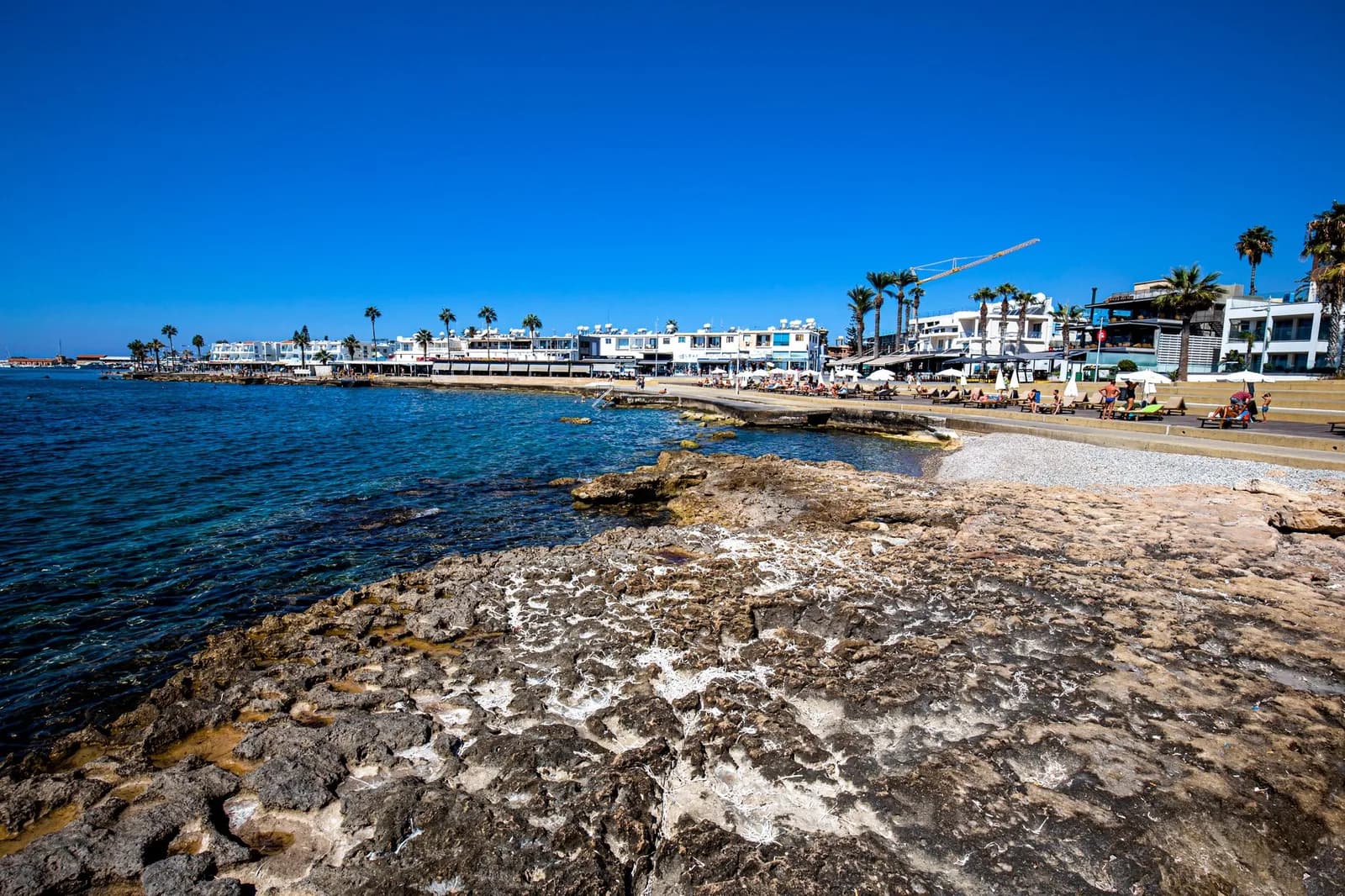 Front de mer rocheux avec plateforme de baignade et promenade bordée de palmiers en bord de Méditerranée